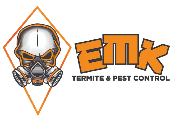 mask logo