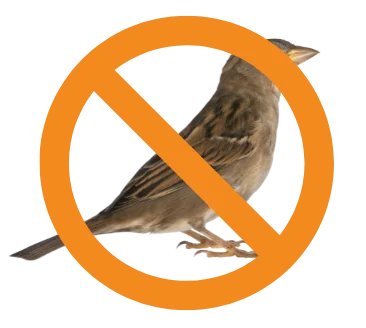 anti bird